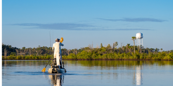 Florida seasonal fishing - summer
